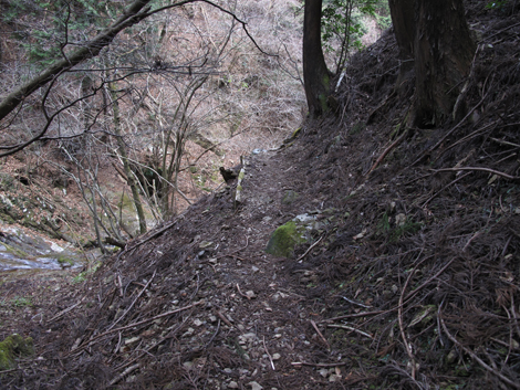 20170113hike (470)